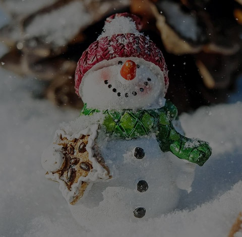 熱水袋，PVC熱水袋，暖手熱水袋，插手熱水袋，頸椎熱水袋，常州月豐塑料制品有限公司，月豐塑料